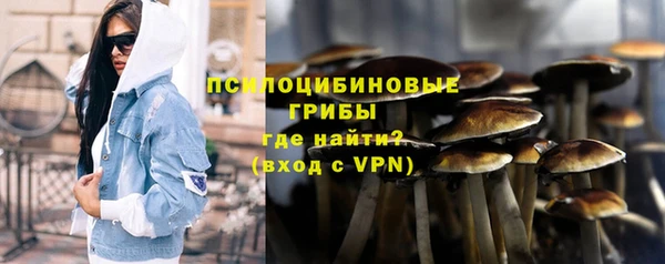 2c-b Кукмор
